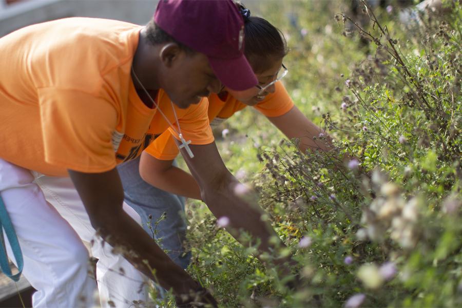 Two students are working in tall grass.