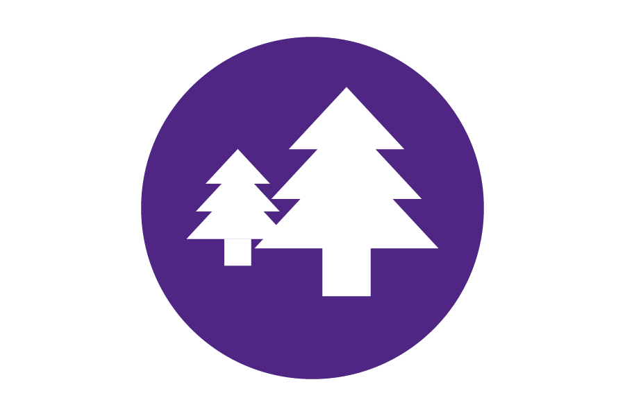 Icon of white trees on a purple background.